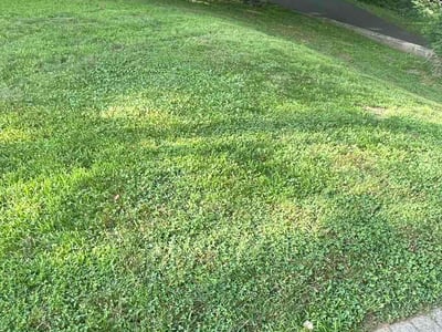 Lawn Care service in Cheshire, 06410