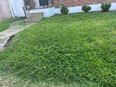 Lawn Care service in Jennings, 63136