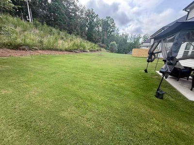 Lawn Care service in Dawsonville, 30534