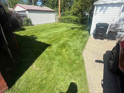 Lawn Care service in Detroit, 48226
