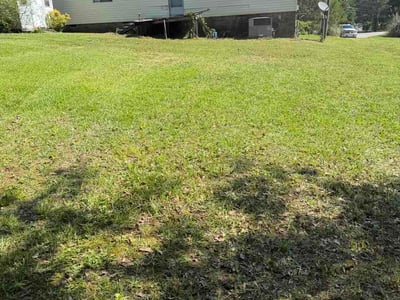 Lawn Care service in Carrollton, 30117