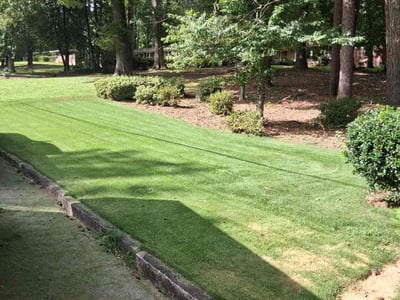 Lawn Care service in Carrollton, 30117