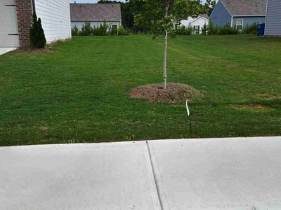 Lawn Care service in Fairburn, 30213