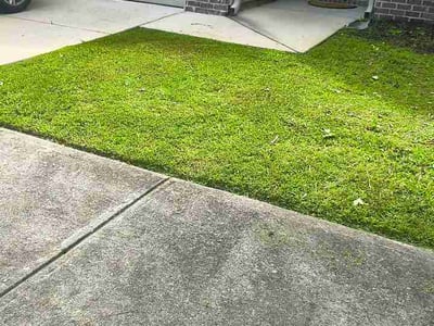 Lawn Care service in Fairburn, 30213