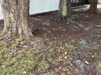 Lawn Care service in Port St Lucie, 34952
