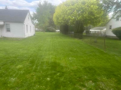 Lawn Care service in Taylor, 48180