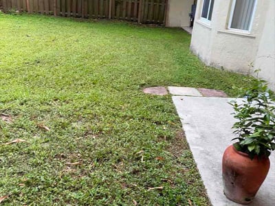 Lawn Care service in Davie, 33328