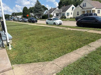 Lawn Care service in Leesburg, 20176