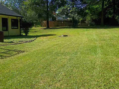 Lawn Care service in Sharpsburg, 30277
