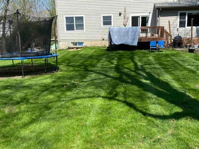 Lawn Care service in Eaton Rapids, 48827