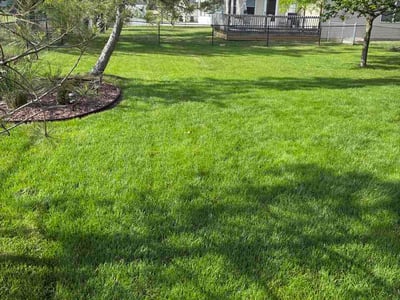 Lawn Care service in Eaton Rapids, 48827