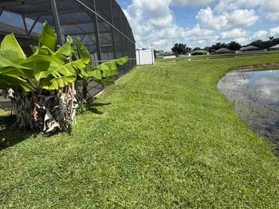 Lawn Care service in Mount Dora, 32757