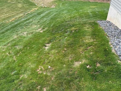 Lawn Care service in Grandville, 49418