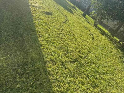Lawn Care service in Wesley Chapel, 33543