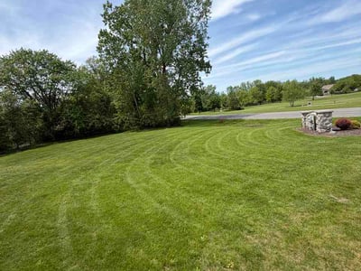 Lawn Care service in Mason, 48854
