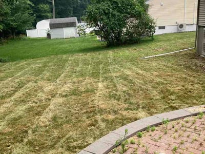 Lawn Care service in Holden, 01520