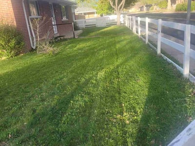 Lawn Care service in Westport, 06880