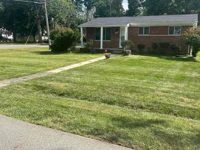 Lawn Care service in Pontiac, 48342