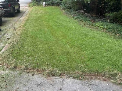 Lawn Care service in Conyers, 30012