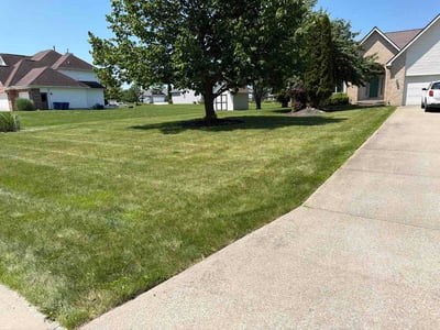 Lawn Care service in Flushing, 48433