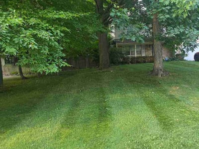Lawn Care service in Flushing, 48433