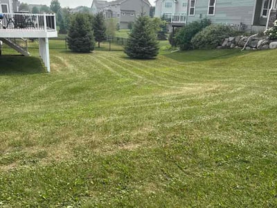 Lawn Care service in North Branch, 55056