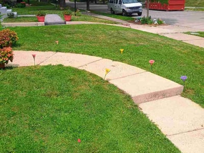 Lawn Care service in Maple Grove, 55311