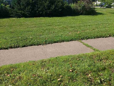 Lawn Care service in New Hope, 55428