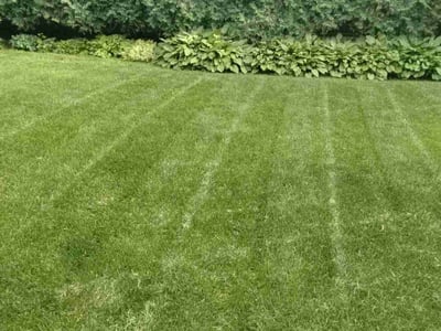 Lawn Care service in Columbia Heights, 55421