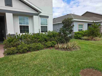 Lawn Care service in Eustis, 32726