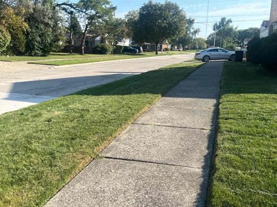 Lawn Care service in Lapeer, 48446