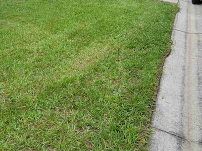 Lawn Care service in Davenport, 33837