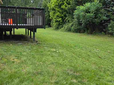Lawn Care service in Dearborn, 48126
