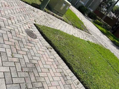 Lawn Care service in Eustis, 32726