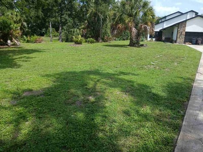 Lawn Care service in Bradenton, 34205