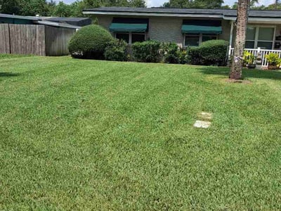 Lawn Care service in Eustis, 32726