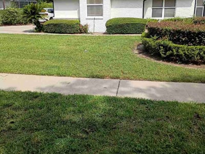 Lawn Care service in Hunters Creek, 32837