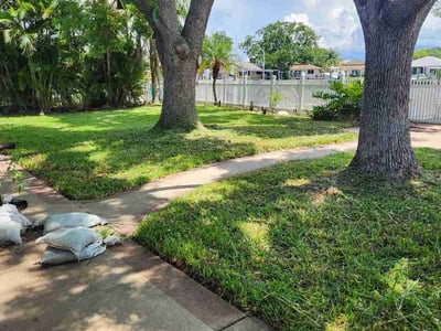 Lawn Care service in New Port Richey, 34652