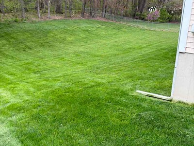 Lawn Care service in Comstock Park, 49321