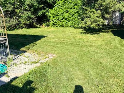 Lawn Care service in Billerica, 01821