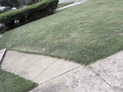 Lawn Care service in Potomac, 20036