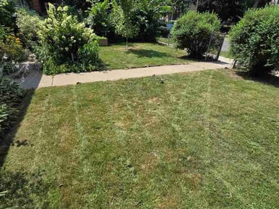 Lawn Care service in Richfield, 55423