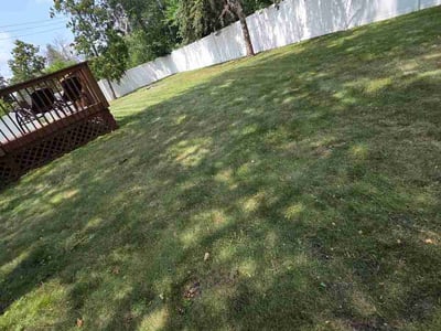 Lawn Care service in Coon Rapids, 55433