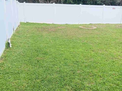 Lawn Care service in Holiday, 34691
