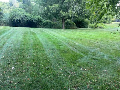 Lawn Care service in Rochester Hills, 48307