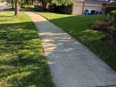 Lawn Care service in Rochester Hills, 48307