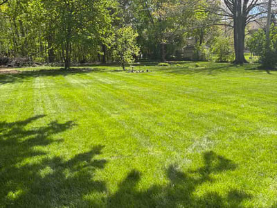 Lawn Care service in Rochester Hills, 48307