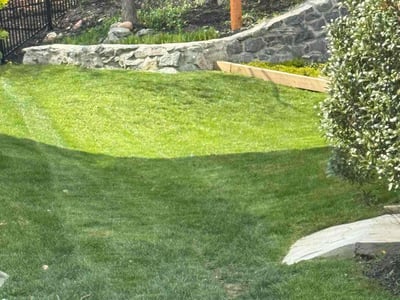 Lawn Care service in Damascus, 20872