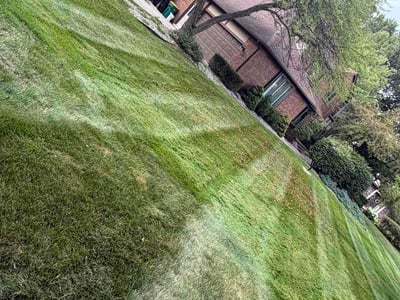 Lawn Care service in Pinckney, 48169