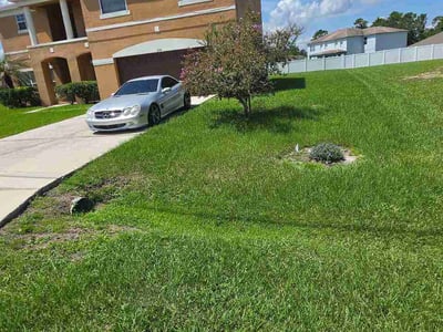 Lawn Care service in Winter Haven, 33881